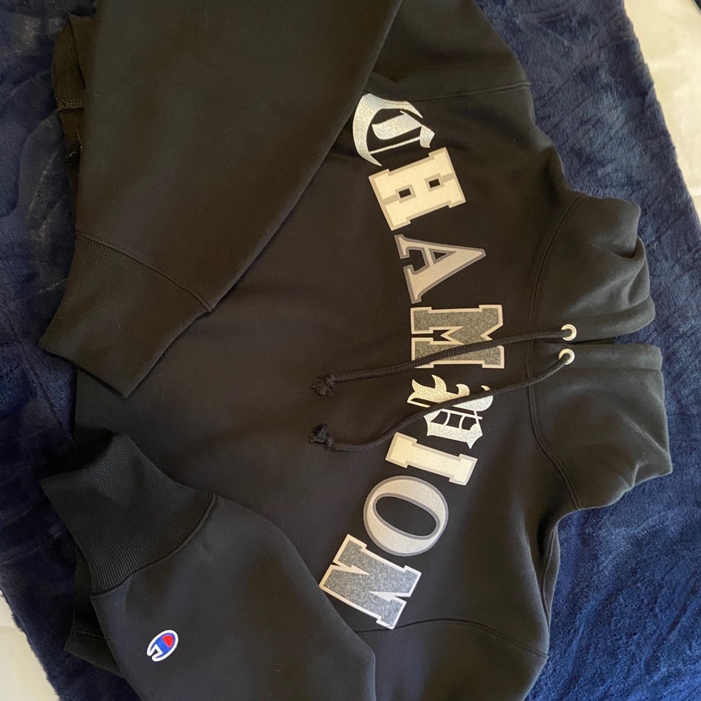 Cropped champion hoodie